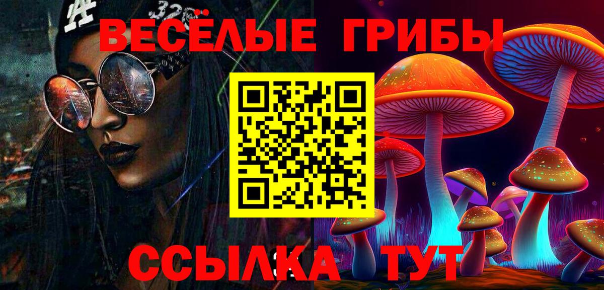 Псилоцибиновые грибы GOLDEN TEACHER Топки
