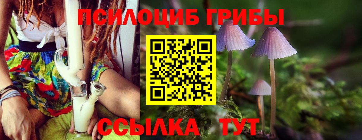 Топки  Галлюциногенные грибы GOLDEN TEACHER  Псилоцибиновые грибы Psilocybe  Вход с VPN 
